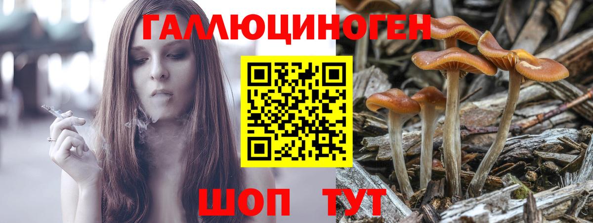 Галлюциногенные грибы MAGIC MUSHROOMS  Псилоцибиновые грибы MAGIC MUSHROOMS  Вход с VPN  Волгодонск 